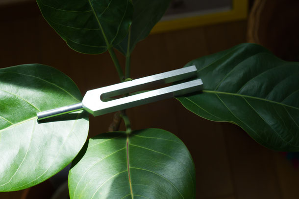 Accueil Mary Yoke Translations - Mary Yoke Translations