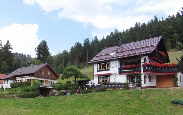 Links das Landhaus und rechts unser Haupthaus.