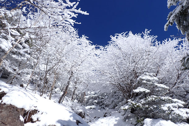 ウインターシーズン　雪山　登山　受付時期