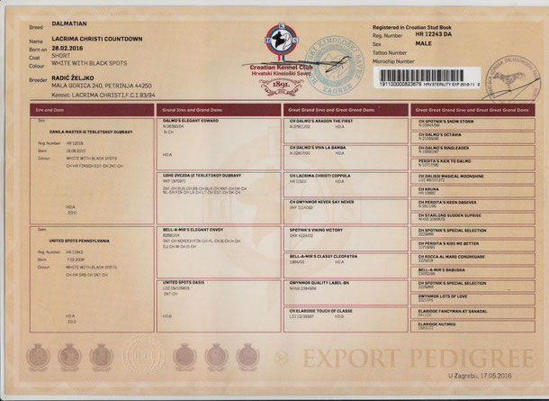 Kennel club export pedigree sales