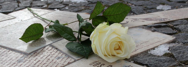 Foto: Jessica Deringer