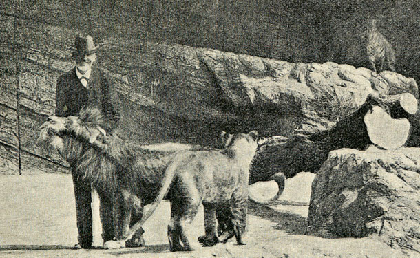 Carl Hagenbeck im Wildtiergehege - heute vor 100 Jahren ist der Hamburger Tierparkgründer gestorben. Lizenz: gemeinfrei