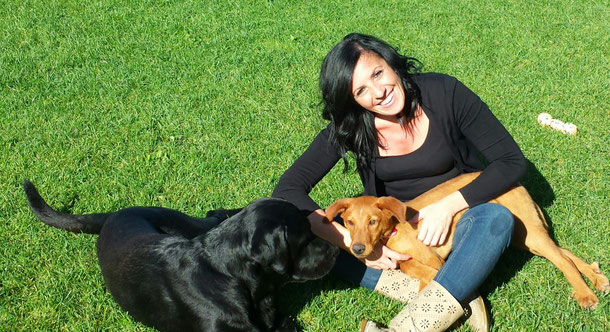 pets weet home perugia
