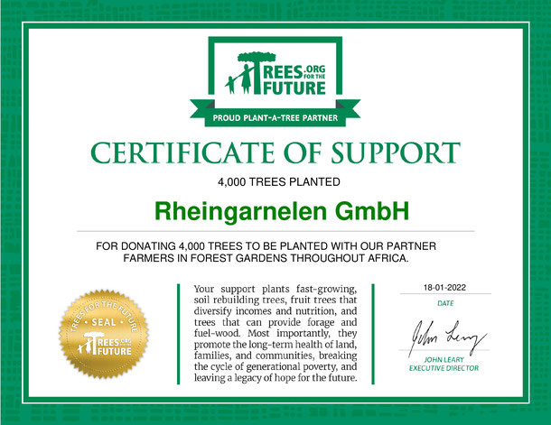 Erstes Pflanzzertifikat über 4000 Bäume mit Treef for the Future