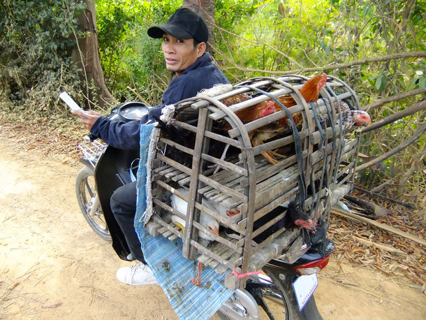 Battambang