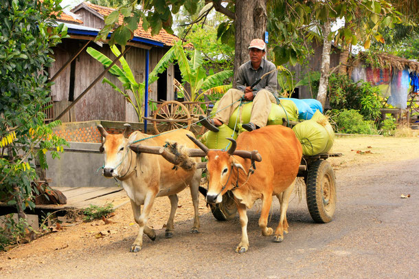 Kratie