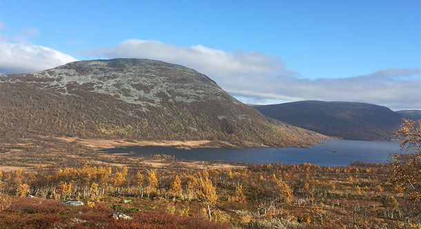 Herbstfarben im Daimadalen. Hier mit dem See Saxaborga und dem Kalbsberg Lievkiesoja. Foto: Verwaltungsbehörde der Provinz Jämtland