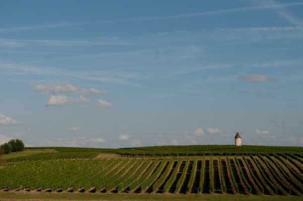 View over the vineyards of Lot et Garonne