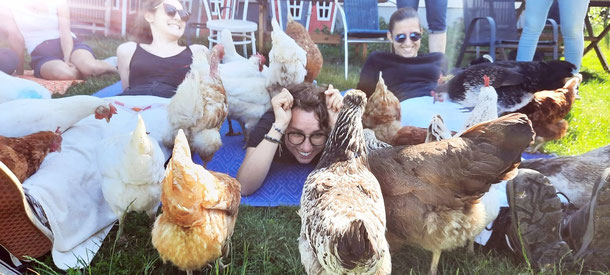Hühner in der tiergestützten Intervention 