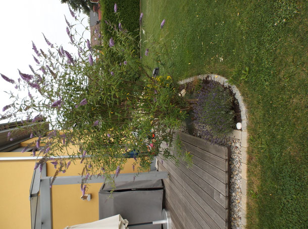 Referenzen - baumgaertner-bau.de