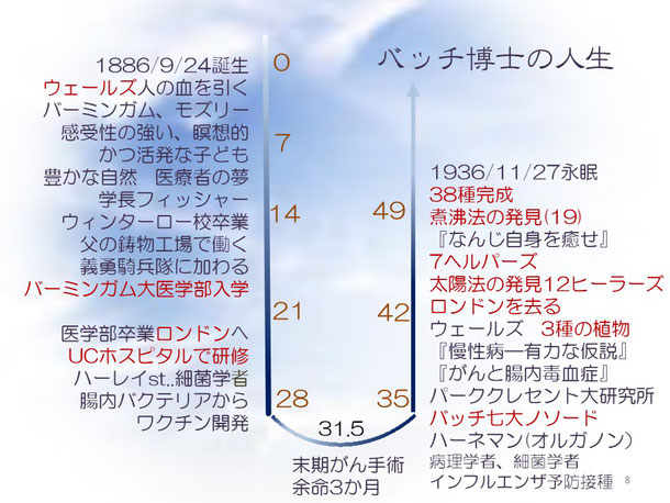エドワード バッチの人生 バッチフラワー バイオグラフィーワークのクロイツへようこそ エドワード バッチの人生 バッチフラワー バイオグラフィーワークのクロイツへようこそ