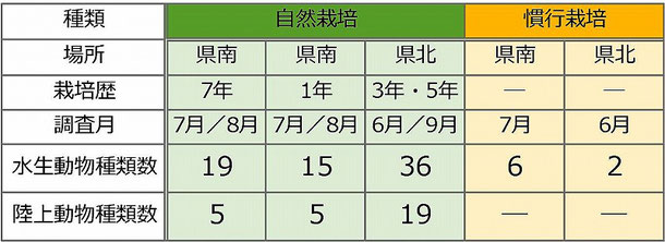 表-2　確認された自然栽培と慣行栽培の種類数