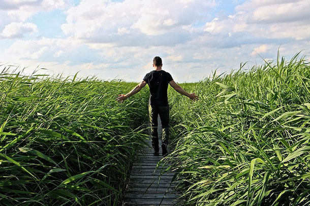 Spazieren in der Natur, abschalten, Kraft tanken, Foto: Pixabay