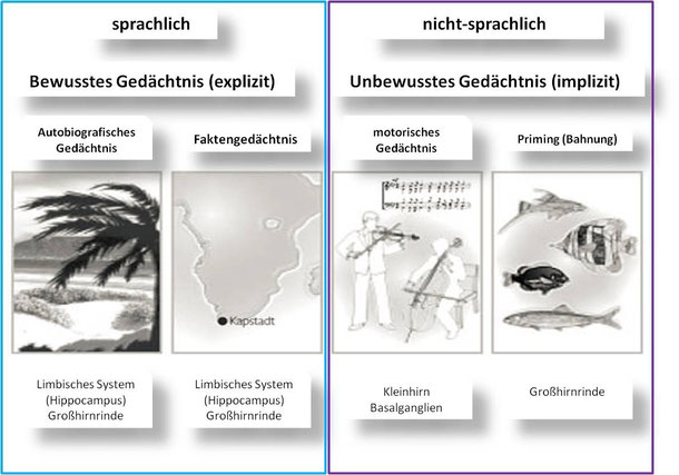 Darum ist ganzheitliches Coaching so erfolgreich.