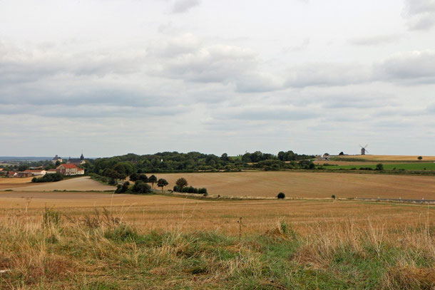 Landschaft an der D931 Route de Reims, Le Moulin de Chantereine - Champagne Ardenne