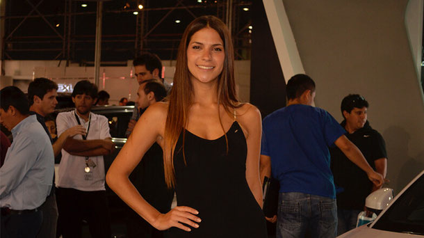 Modelos Chihuahua