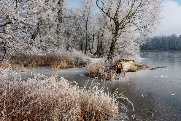 Winterlandschaft