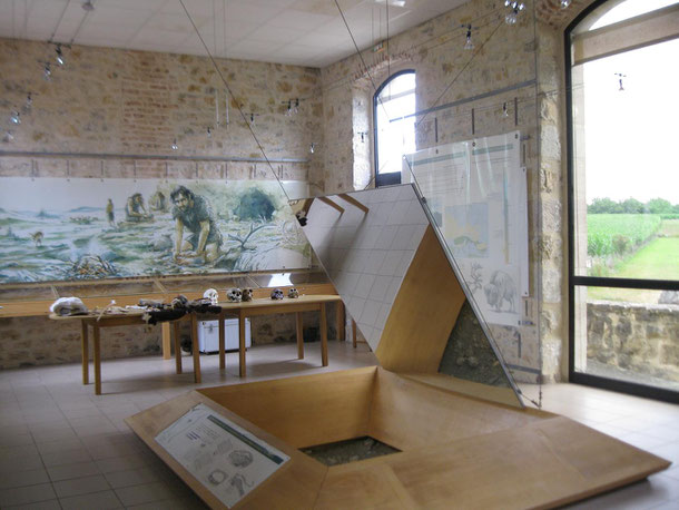 musee-de-la-chapelle-aux-saints