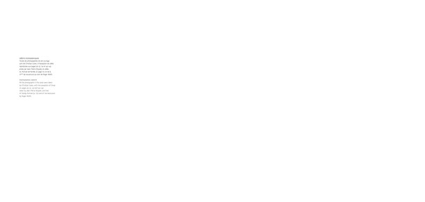 Jean-Pierre GHYSELS, sculpture goéland 20 x 16 x 13 cm bronze brut et poli, 1974, 5 ex. collection particulière, itegem (5/5) — seagull 7.9 x 6.3 x 5.1 inches polished and unpolished bronze, 1974, 5 ed. 5/5: private collection, itegem
