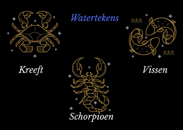 Watertekens sterrenbeeld en relaties. De relatie expert legt het uit. Kim Kromwijk-Lub Relatietherapeut