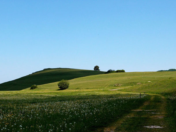 Grüne Wiesen, blauer Himmel und ein Weg, der zu dem Hügel führt.
