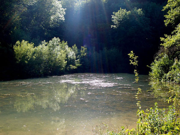 Ein abgelegener Waldsee, umgeben von Gebüsch und Bäumen und durch Sonnenlicht erhellt, liegt in der Nähe von Gönningen auf der Schwäbischen Alb.