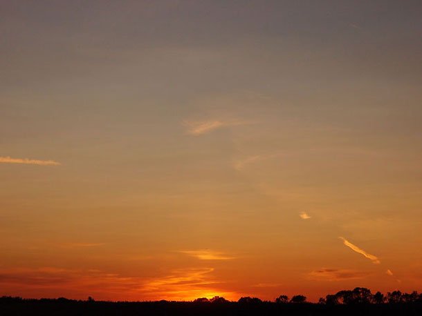 Vor Sonnenaufgang in Sonnenbühl, Schwäbische Alb. Eine Silhouette von dunklen Bäumen am Horizont, darüber golden rotes Licht der aufgehenden Sonne und der heller werdende Nachthimmel.