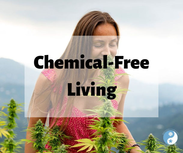 Chemical-Free Living on the Beachside blog