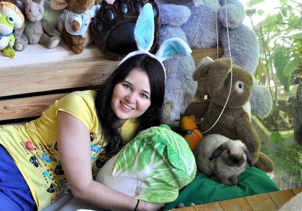 hanging out with rabbits in the rabbit cafe in Bangkok