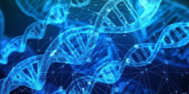 DNA journey is on the rise