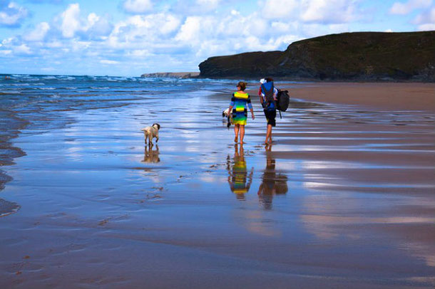 Walking a dog on the beach via the house sitting program