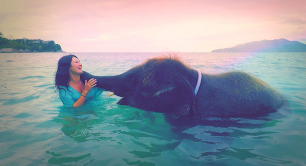 Swimming and bathing with elephant in Phuket