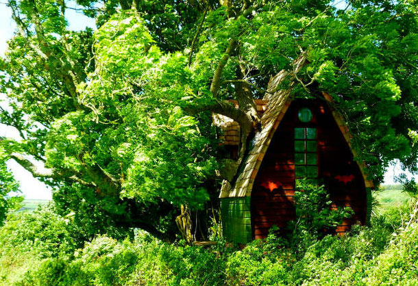 Tree house - unusual airbnb rental