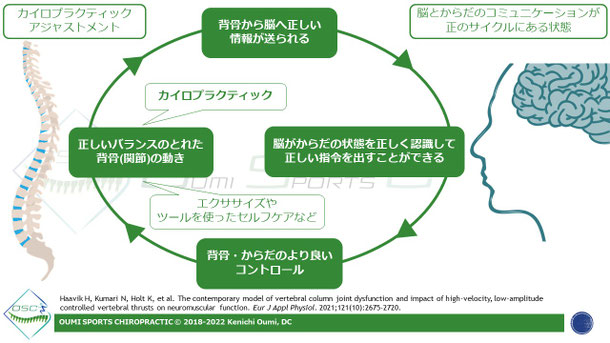 カイロプラクティックとは 立川駅南口のoumiスポーツカイロプラクティック