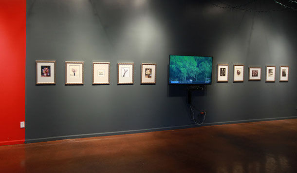Gallery-Lobby @ Studio 526