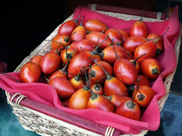 Tamarillo oder Baumtomate 