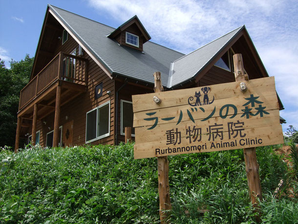 三国町　ラーバンの森 動物病院1