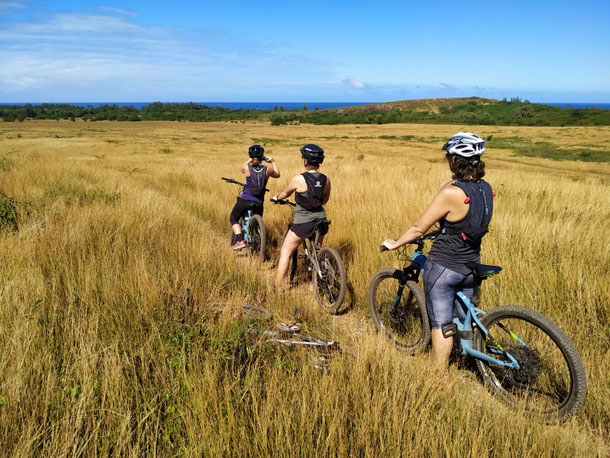 ride en vélo tout terrain dans la savane du cap la houssay à saint gilles avec un guide ayapana 