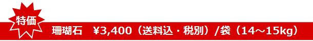 琉球珊瑚石 特価