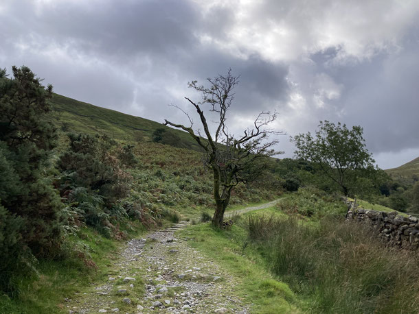 In coaching, I accompany you on paths through unfamiliar terrain, as I have also travelled countless times myself – here above Wastwater, Wasdale, Cumbria, UK.