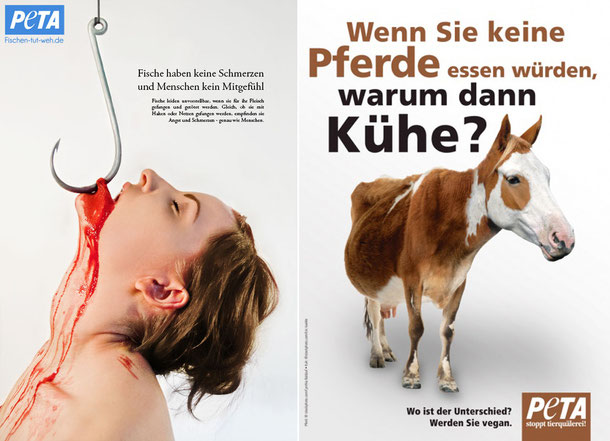 Download Tierschutz sprueche bilder Free