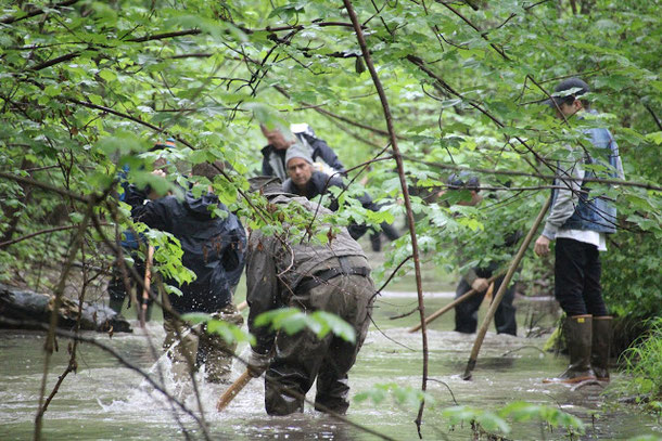loose the gravel to create spacing grounds for trout grayling danube salmon