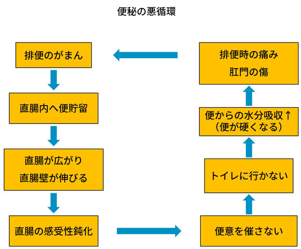 便秘,悪循環