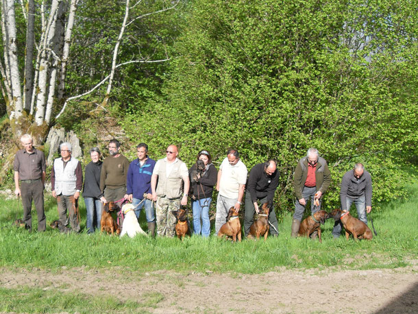 rencontre des conducteurs de chiens de sang en Corrèze (limousin)