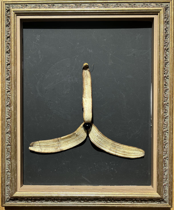 The secret of the black pearle, banana on panel, 48 x 37 cm, 2026/39