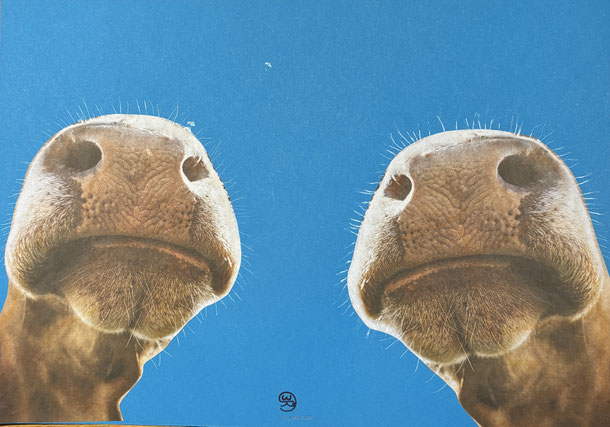 Silent conversation, collage, 34 x 48 cm, 2024/17