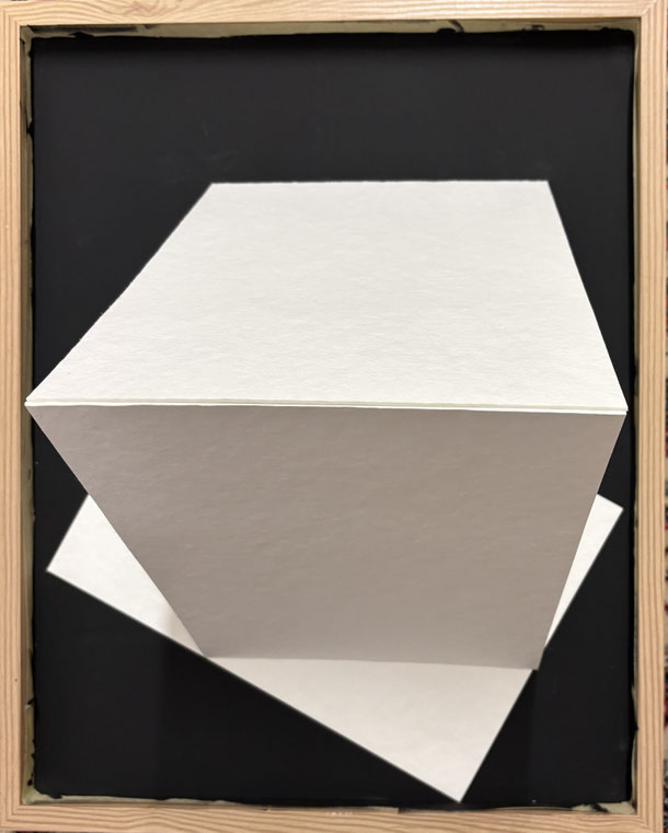White with shadow, cardboard pulp on panel, 46 x 35 cm, 2025/61