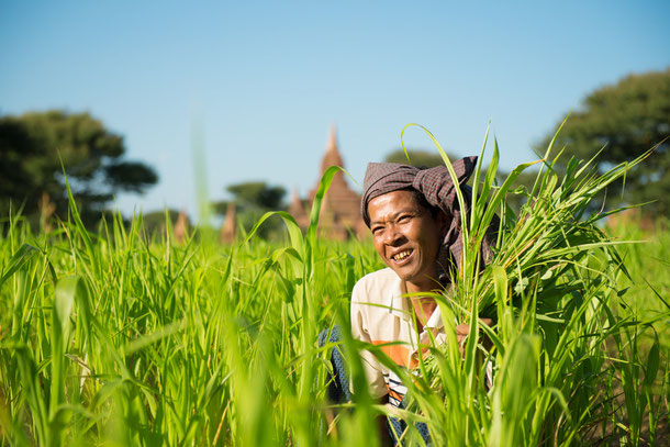 Dos and Don´ts in Myanmar