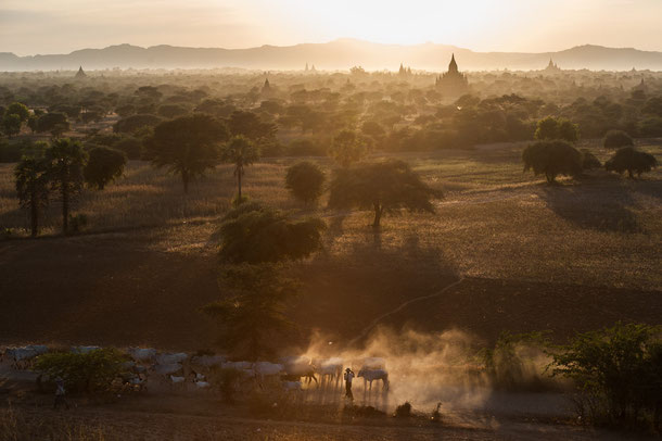 Sunset at Bagan pagodas in Myanmar