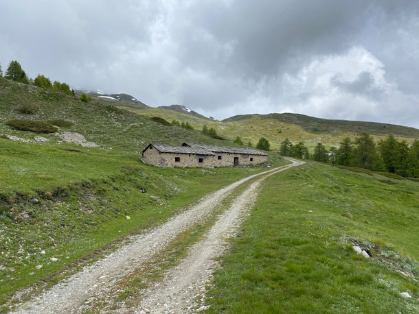 poco dopo i ruderi raggiungiamo un altipiano, il punto più alto del giro ......